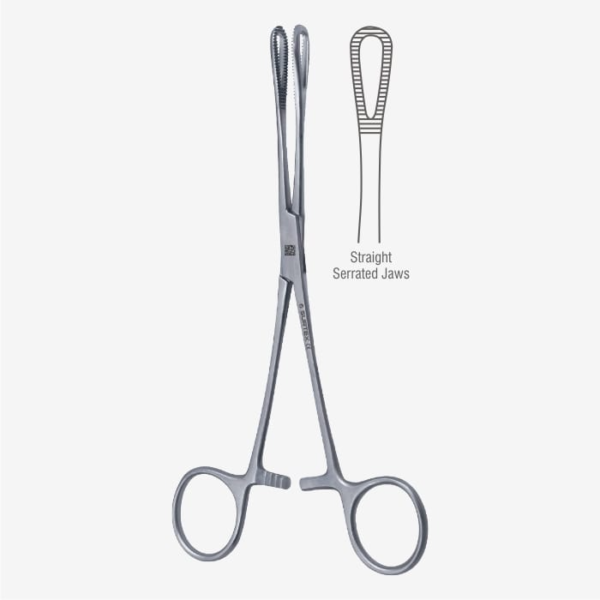 Rampley Sponge Holding Forceps ( Sponge Holder )
