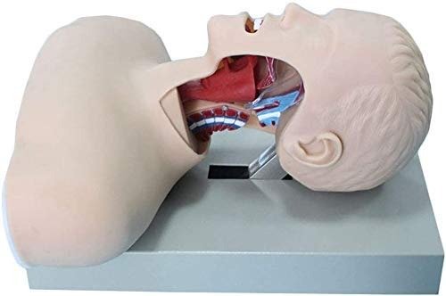 Air Intubation Manikin